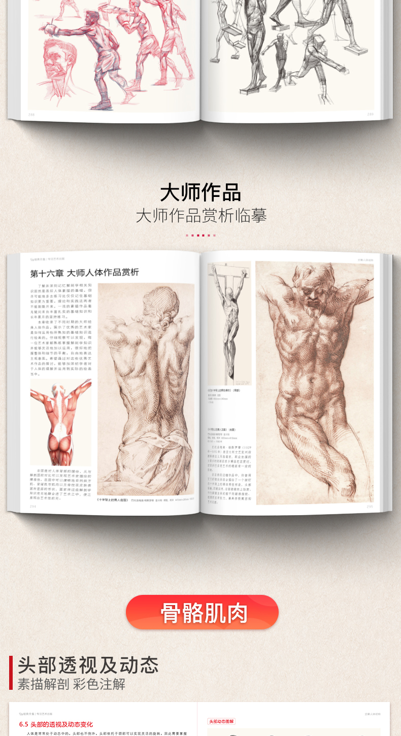 骨骼肌肉方面知识书籍推荐(肌肉骨骼运动训练)